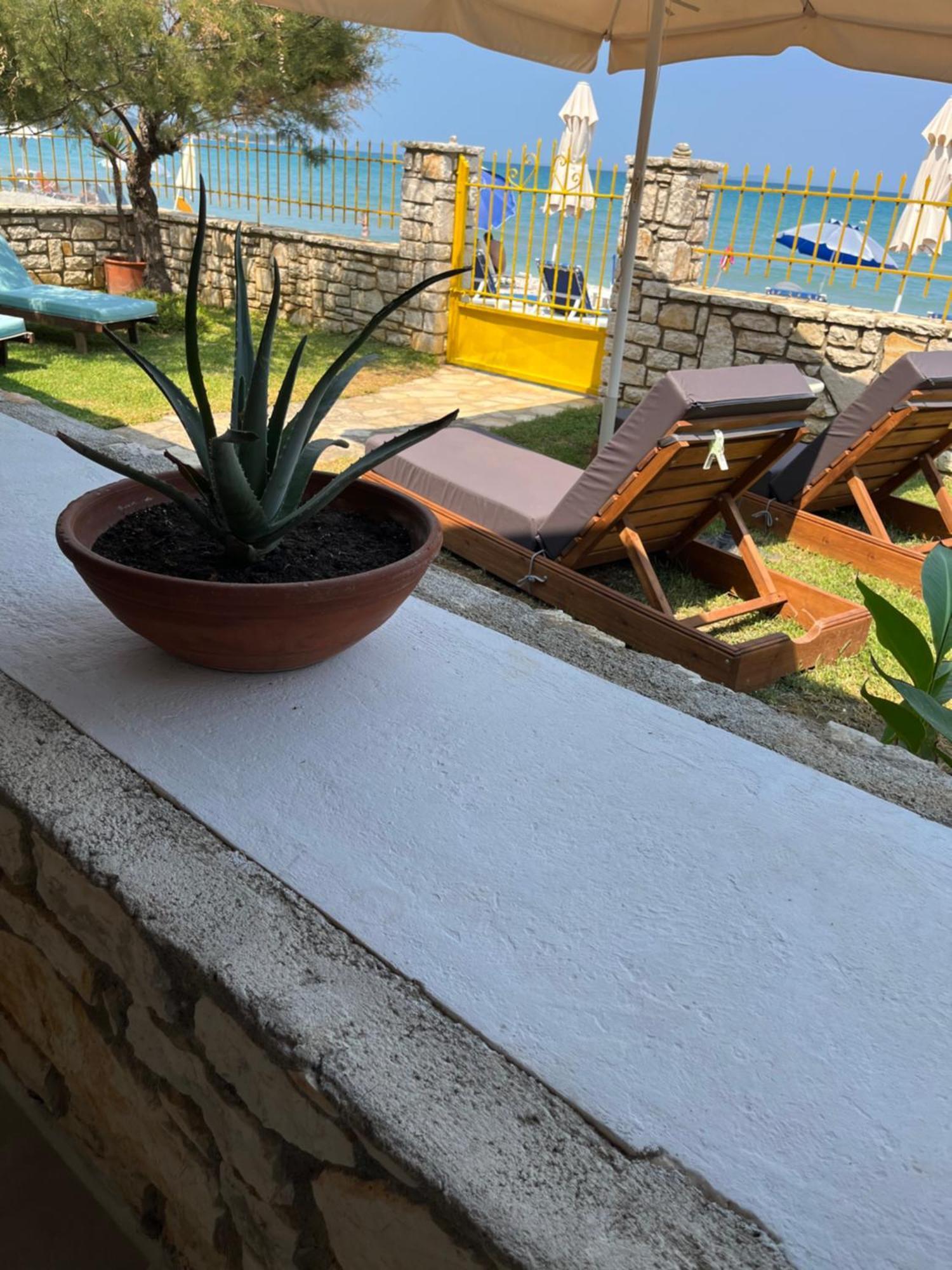 Nikotsaras Beach House Since 1930 Ахарави Екстериор снимка